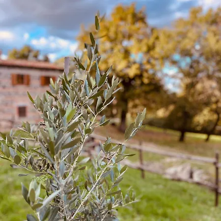 Casetta Di Ugolino